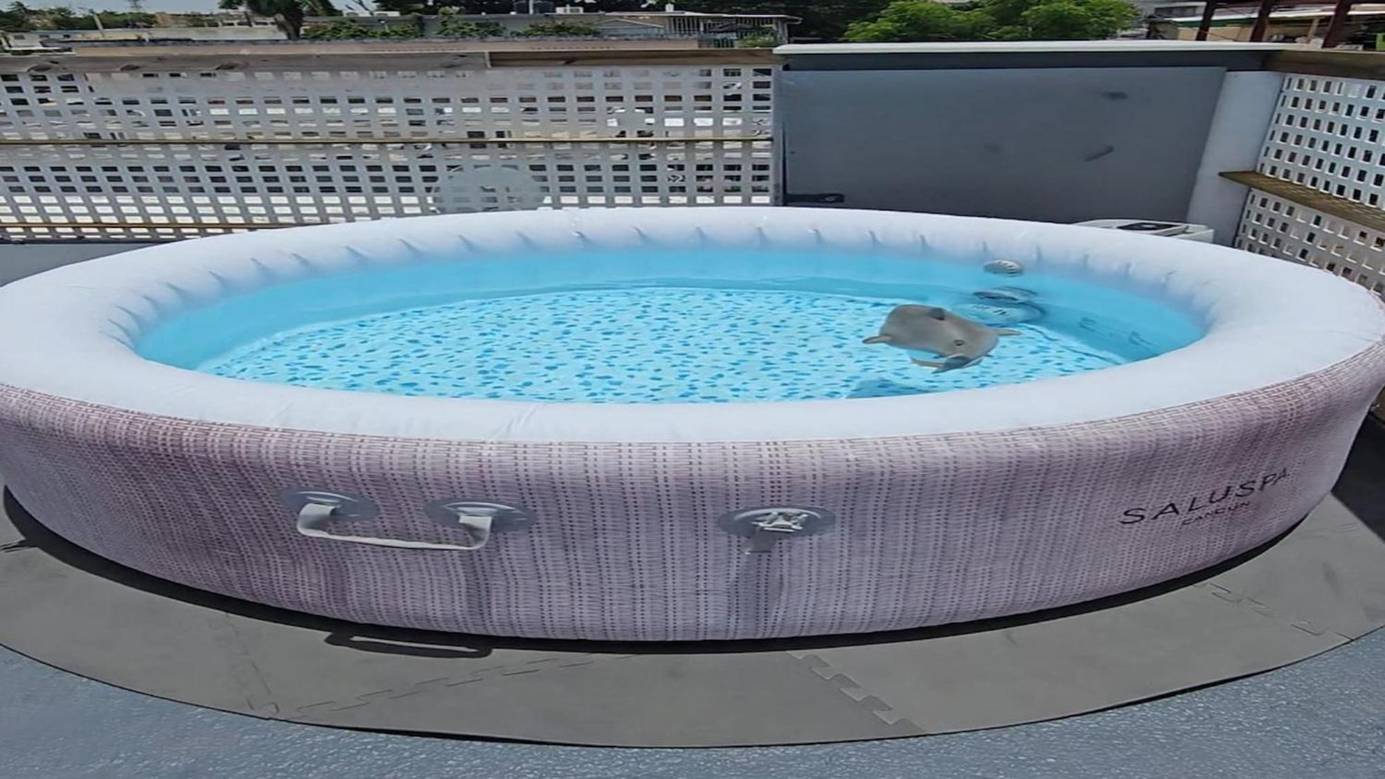 Terrace With Jacuzzi Modern 2