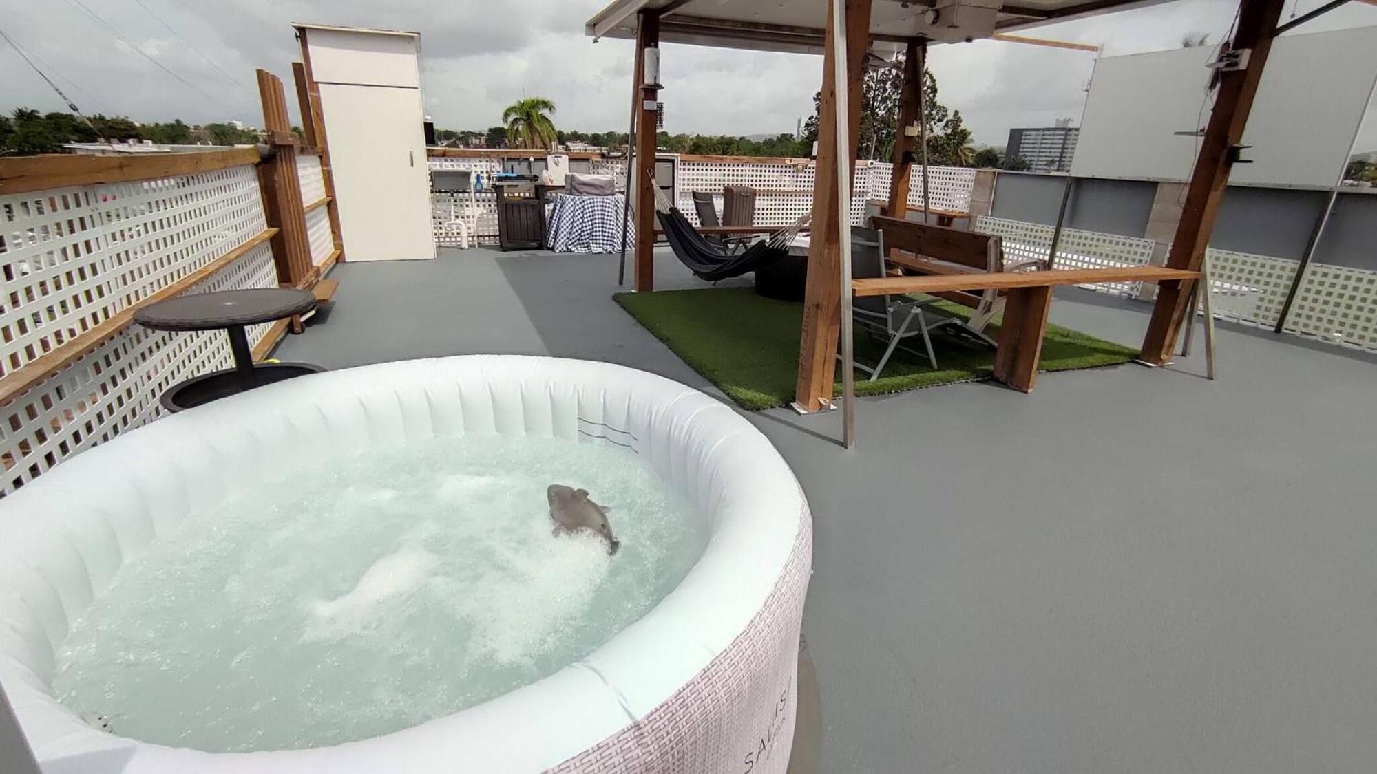Apartamento Terrace With Jacuzzi Modern 2 San Juan